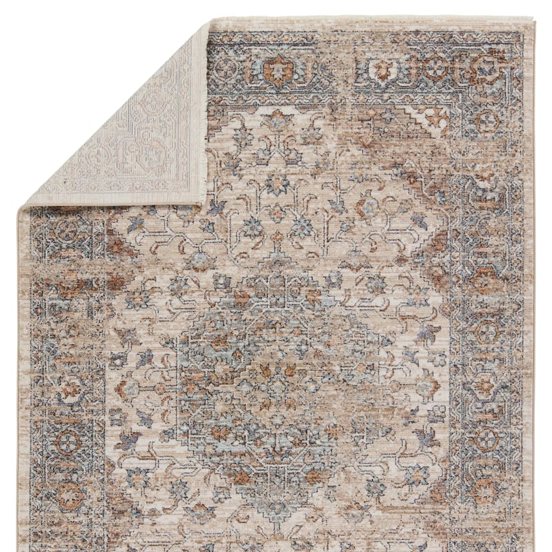 Mehdi Medallion Beige/ Blue Area Rug