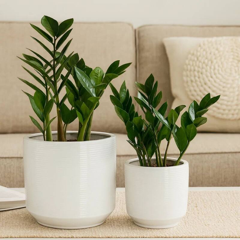 Fusie Planter Set of 2, Round, White Ceramic, Horizontal Texture