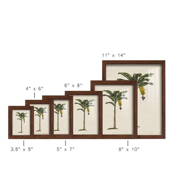 dimension image slide 10 of 11, UA CH British Palms III -Framed Print w/glass-Cherry Red