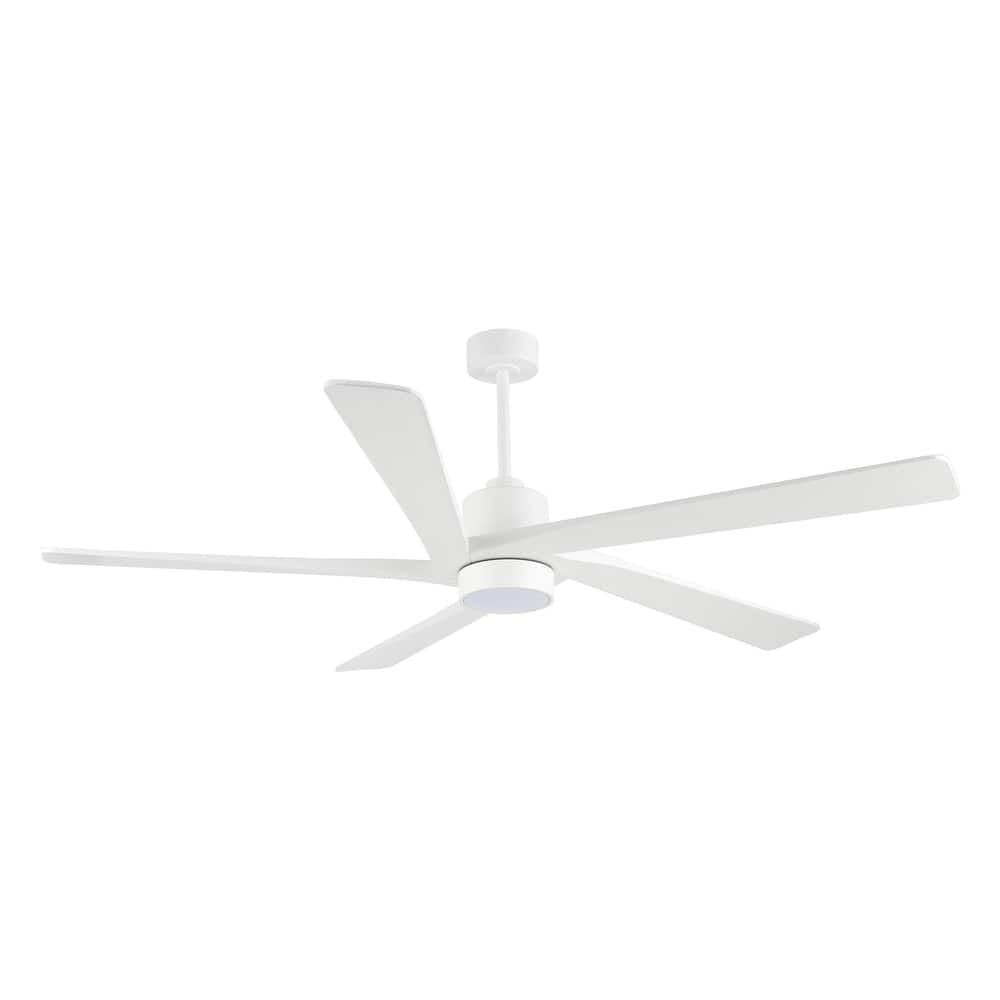 WINGBO 64 Inch DC Ceiling Fan with Lights and Remote Control, 5 Reversible Carved Wood Blades