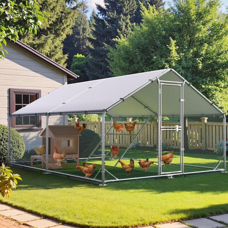 Large Metal Walk in Chicken Coop with Roosting Perch - Gray