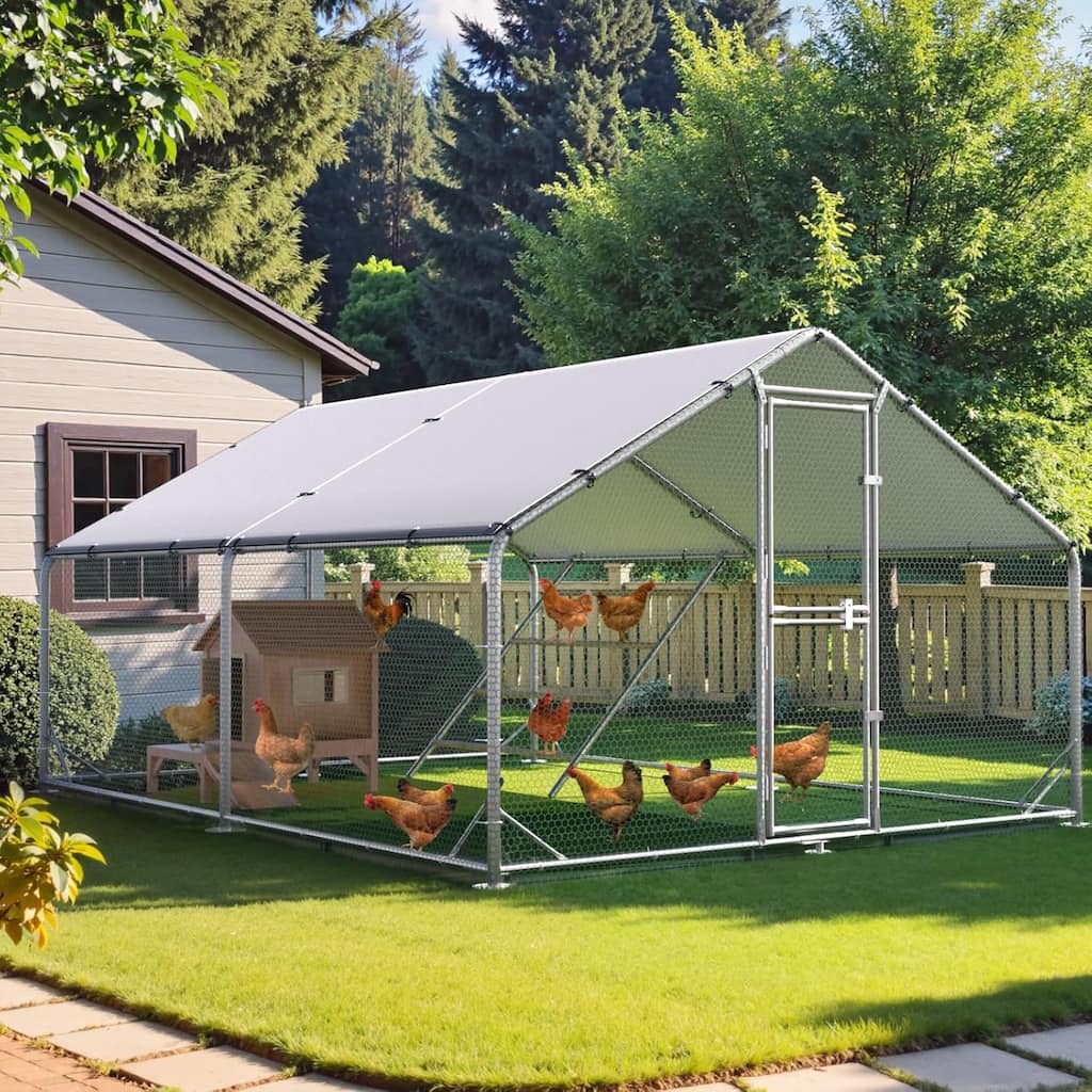 Large Metal Walk in Chicken Coop with Roosting Perch