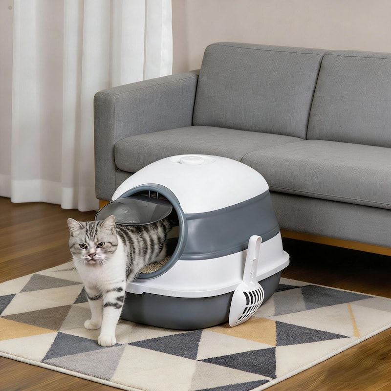 Litter Box with Lid