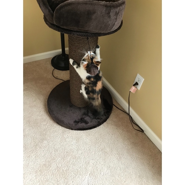 Top Product Reviews For Trixie Pepino Cat Scratching Post