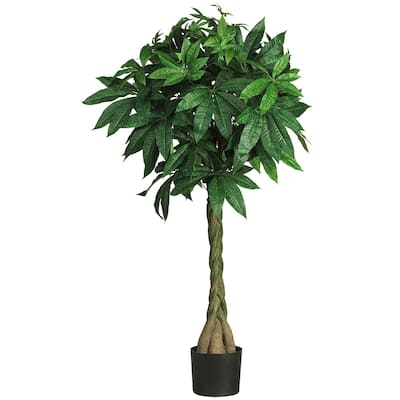 Money Tree Plant 51 Inch - Braided Trunk, Lush Green Leaves, Home Office Decor, Prosperity Gift, Tall Indoor Plant - 4.25ft.