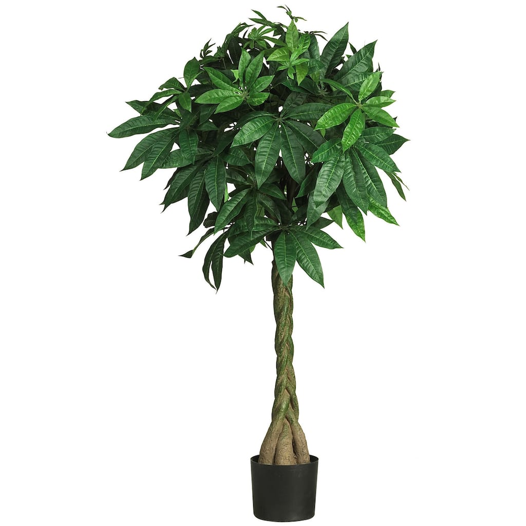 Money Tree Plant 51 Inch - Braided Trunk, Lush Green Leaves, Home Office Decor, Prosperity Gift, Tall Indoor Plant - 4.25ft.