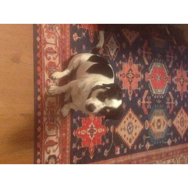 ruggable and dog pee