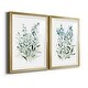 preview thumbnail 2 of 49, Delicate Blue Botanical I Premium Framed Print - Ready to Hang