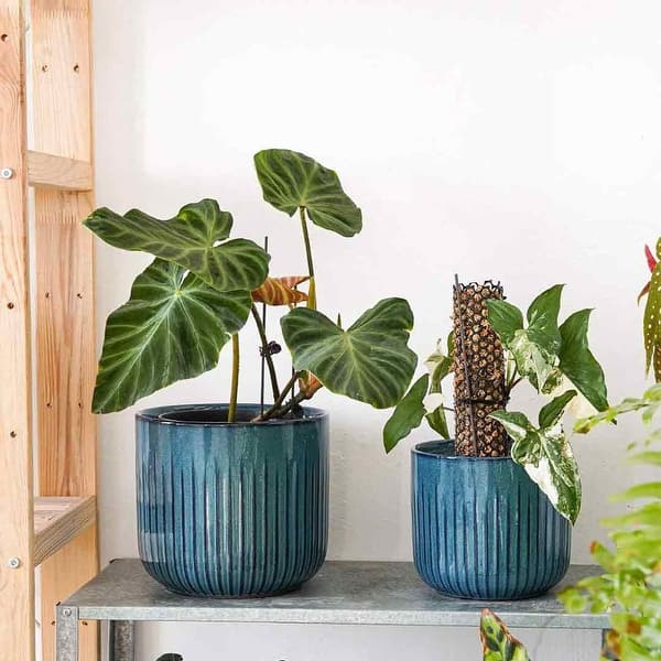 Ceramic Planters, Set of 3 Plant Pots for Indoor Plants, Large Cylinder Planters  Pot for Outdoor Indoor House Plants - Bed Bath & Beyond - 40342235