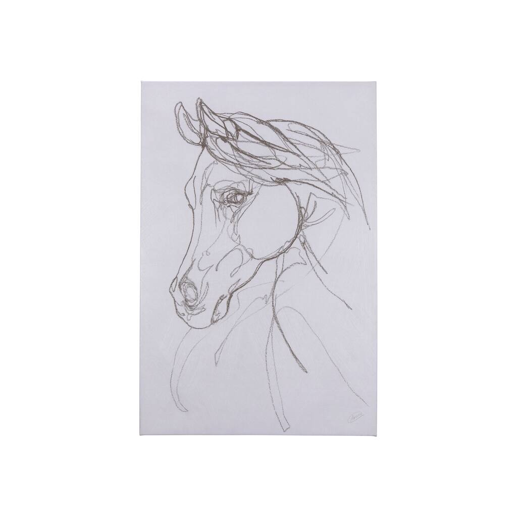 Arabian II (28 x 42 ) Canvas Art Print
