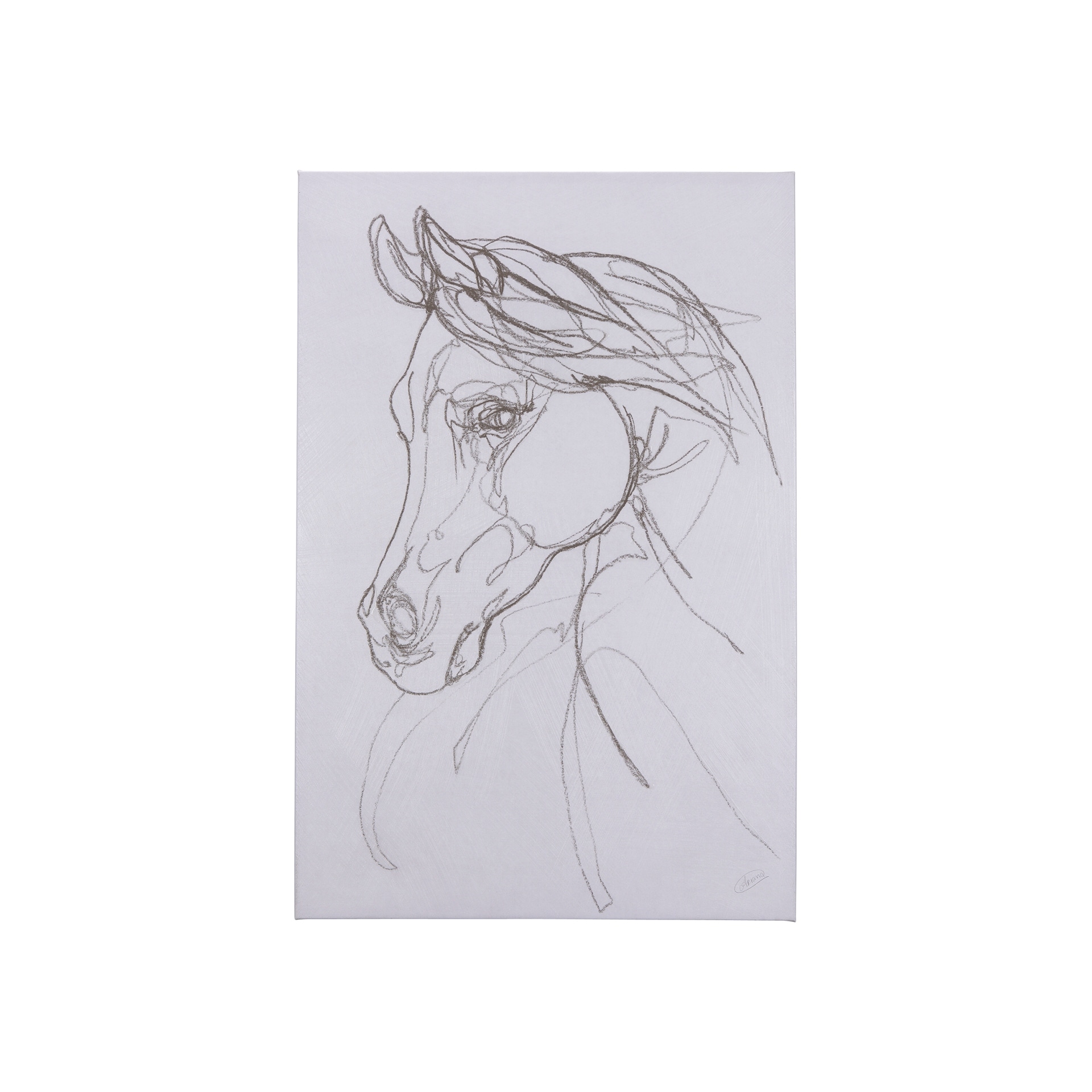 Arabian II (28 x 42 ) Canvas Art Print