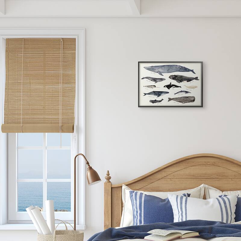 Stupell Vintage Nautical Chart of Whales Ocean LifeFramed Giclee Texturized Art by Victoria Barnes