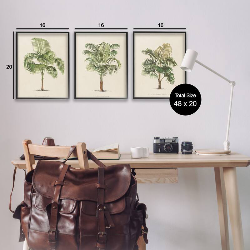 Stupell Les Palmiers Botanical Trio Framed Giclee Art Design by World Art Group (Set of 3)
