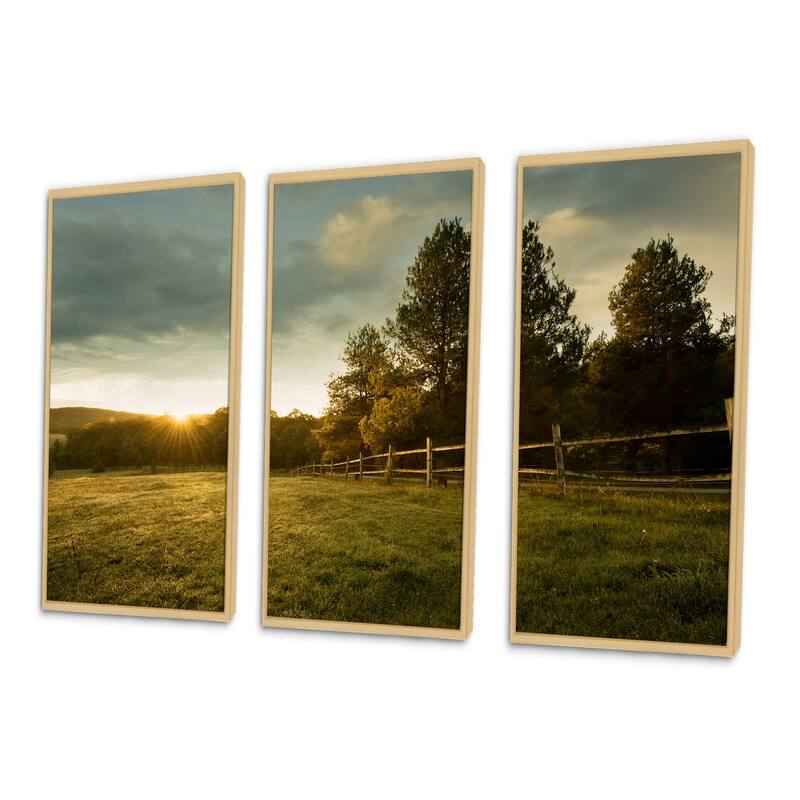 Designart "Beautiful Sunrise in the farm" Landscape Framed Art Prints