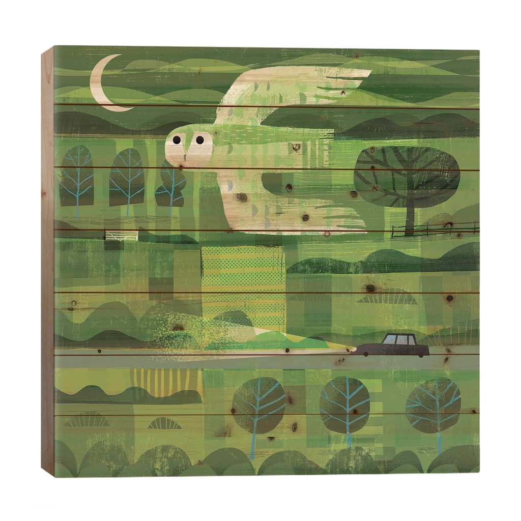 Dusk Owl Print On Wood by Gareth Lucas - Multi-Color