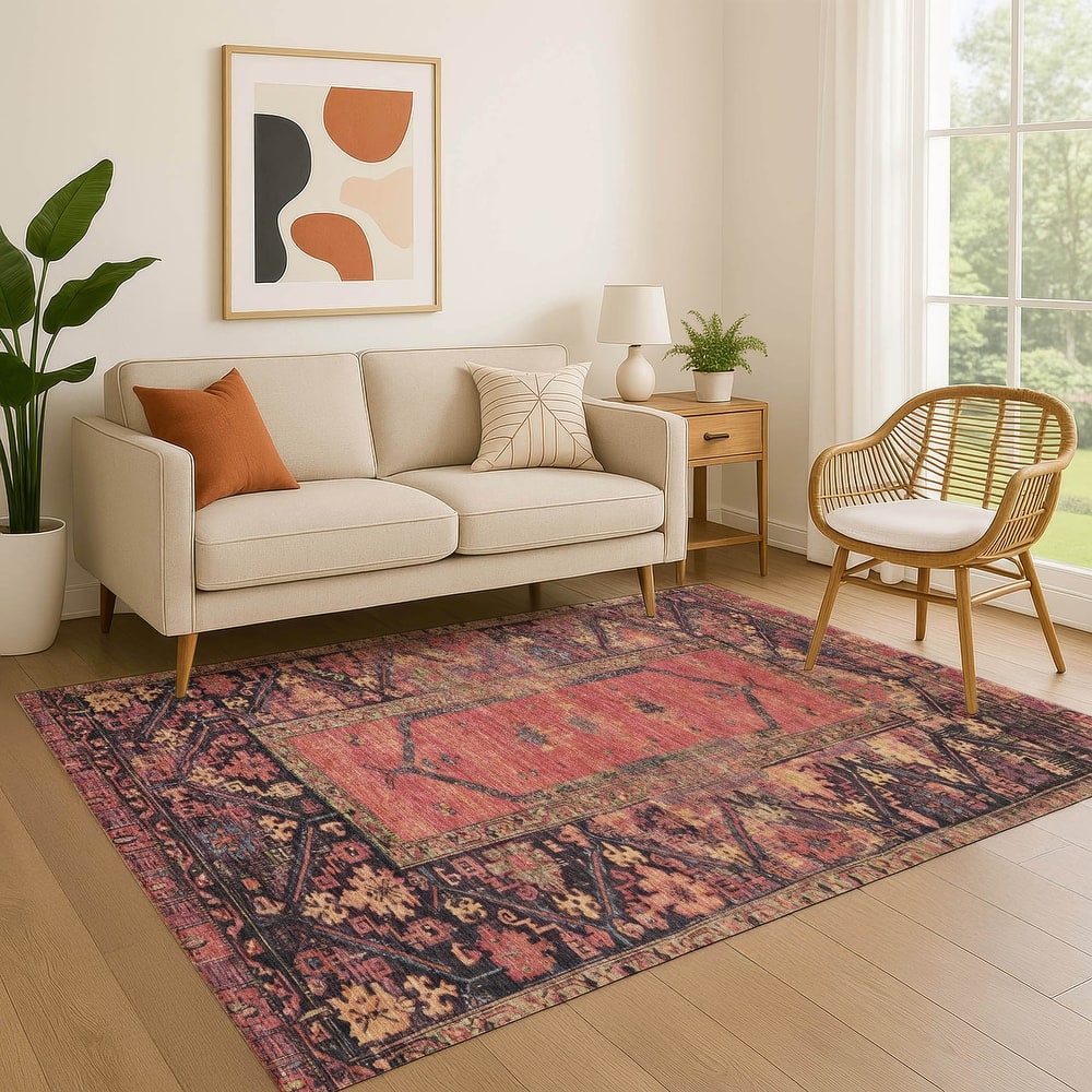 Premium Washable Super Soft Traditional Global Mayfield Rug
