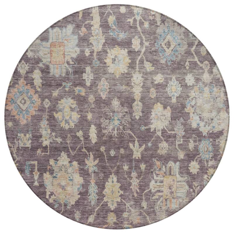 Machine Washable Indoor/ Outdoor Casual Traditional Chantille Rug
