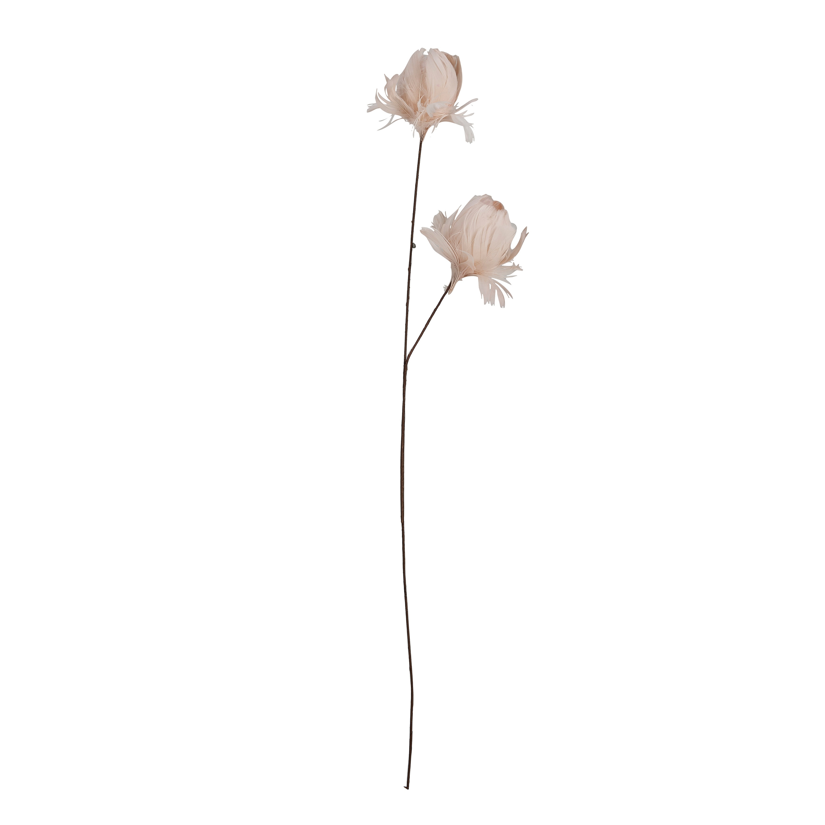 Organic Feather Flower Stem Décor