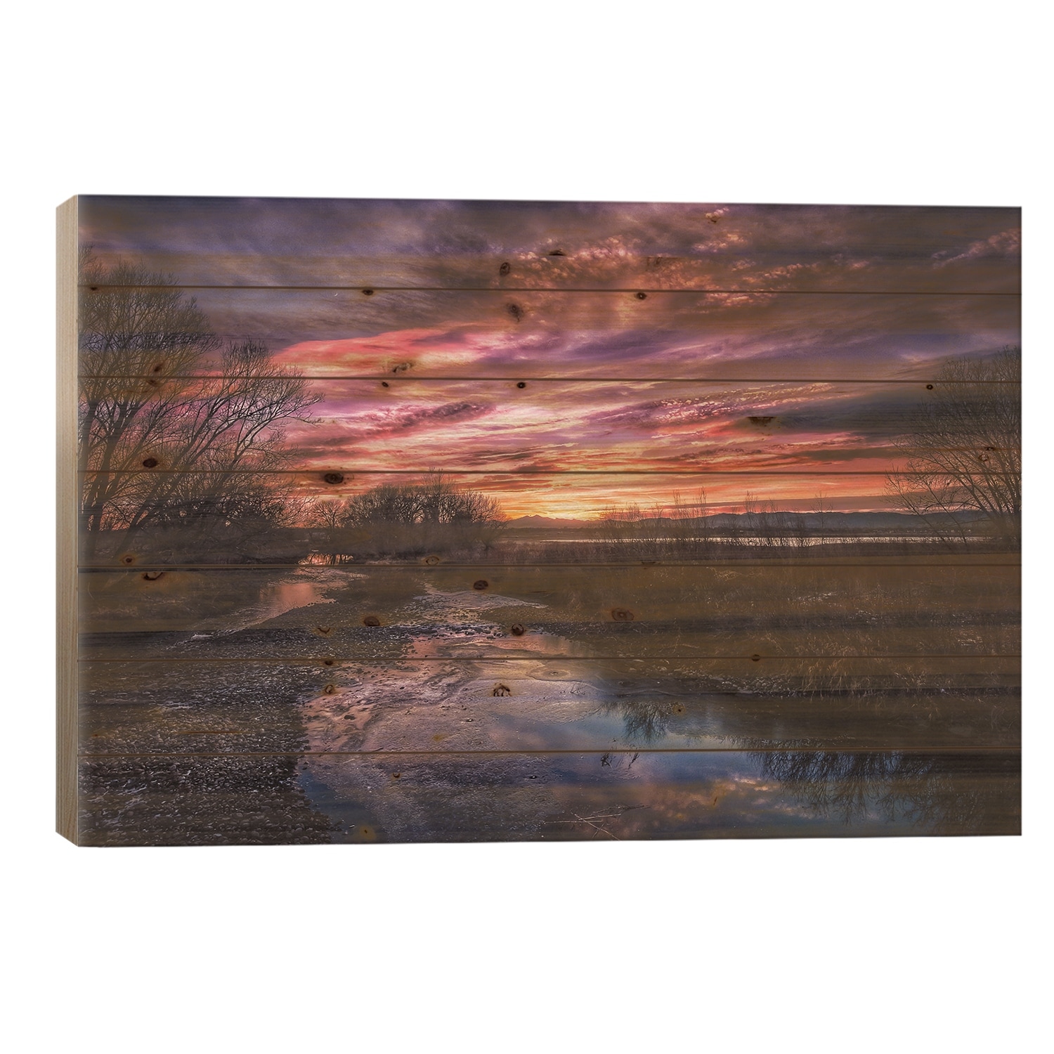 Natural Noco Print On Wood by Christopher Thomas - Multi-Color