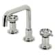 Option Polished Nickel
