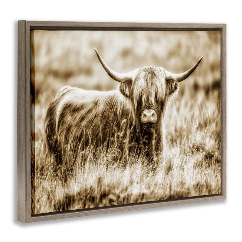 Stupell Vintage Cow In Pasture Animal Photo Floater Frame - Brown