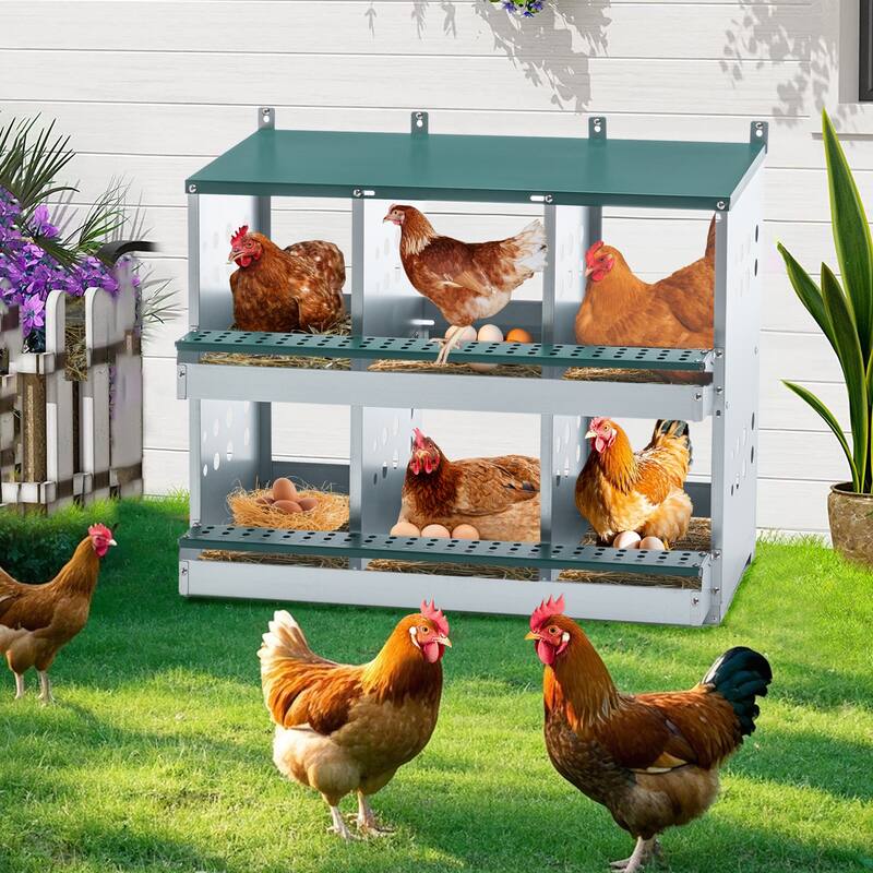 6-Compartment Roll Away Chicken Nesting Box - Egg Laying Box, Green