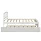 Option White