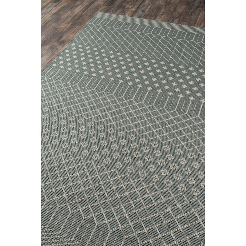 Momeni Baja Minimalist Indoor Outdoor Area Rug
