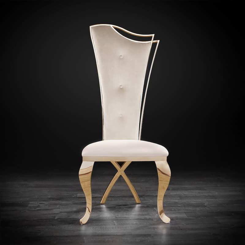 Belladonna Titanium Gold Stainless Steel Dining Chair, Set of 2