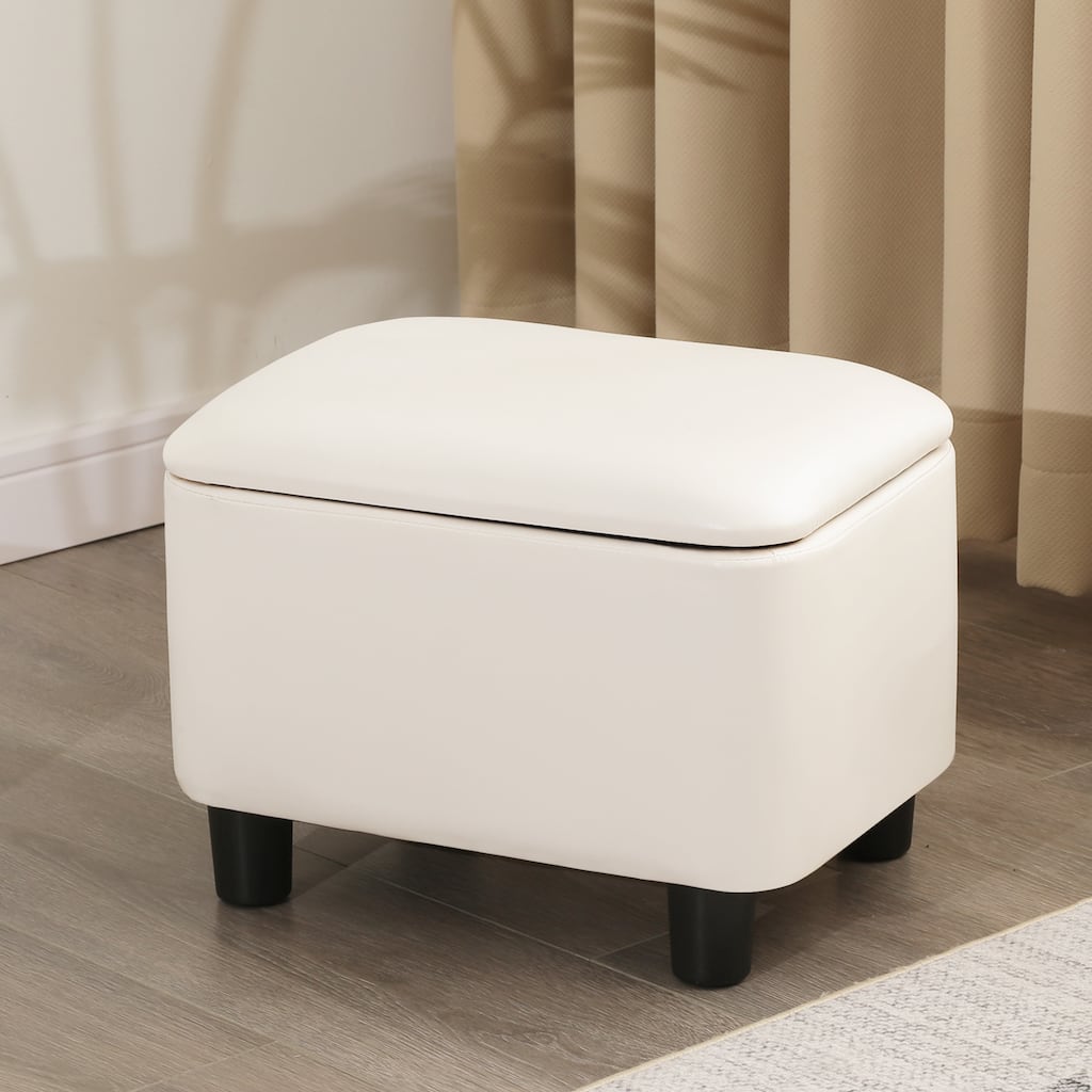 Adeco 16.1" Modern Storage Ottoman