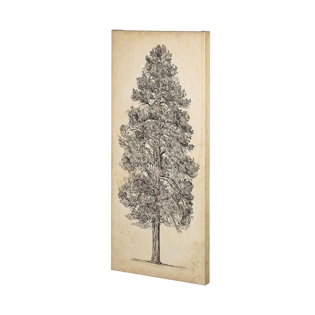 Pacific Northwest Tree Sketch III Canvas Art Print