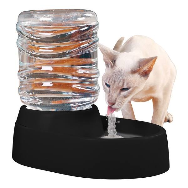 Shop Etna Electronic Pet Water Fountain And Dish Black 13 In