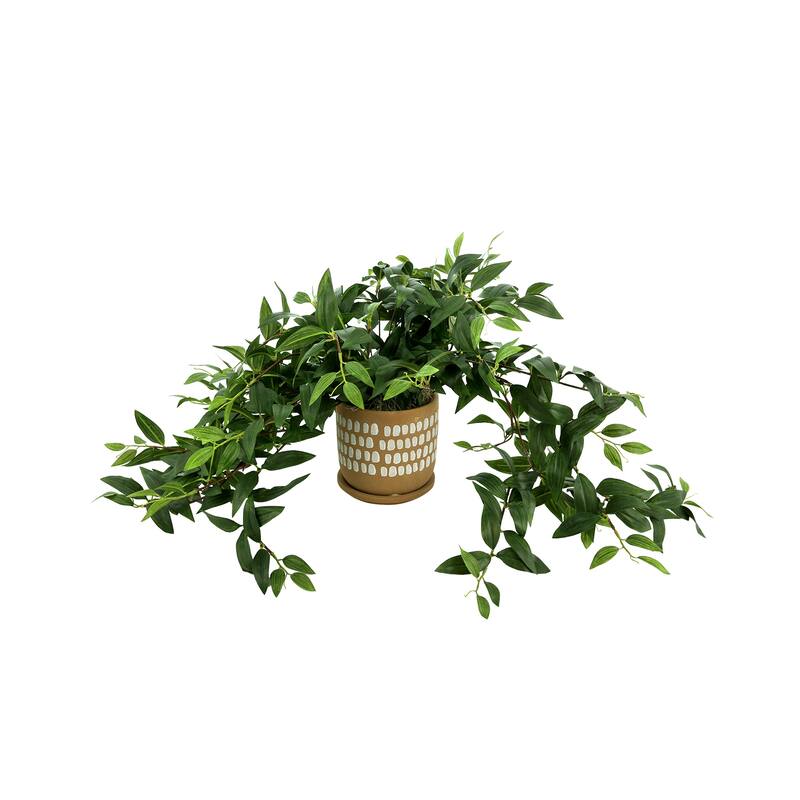 Ivy Arrangement in a Spotted Ceramic Pot - Green