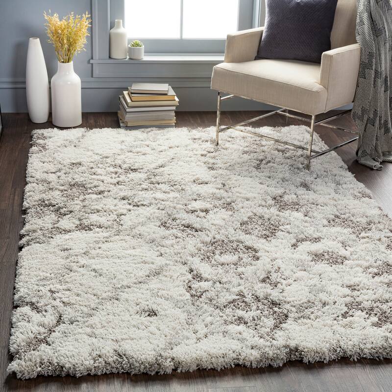 Livabliss Chace Distressed Trellis Shag Area Rug
