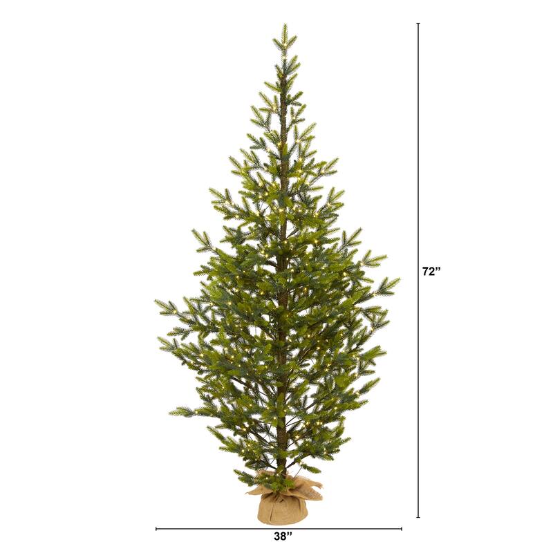 6' Fraser Fir "Natural Look" Christmas Tree with 250 Clear LED Lights - Green