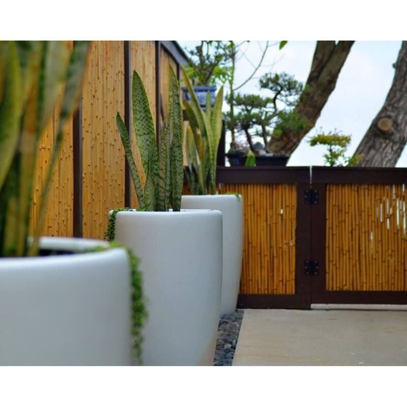 Natural Bamboo Fencing Outdoors Decor 3 ft H x 8 ft L x 3/4 in D