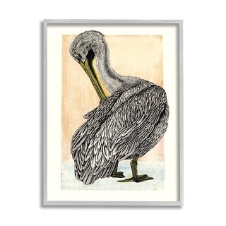 Stupell Detailed Pelican Drawing Framed Giclee Art Design by Liz ...