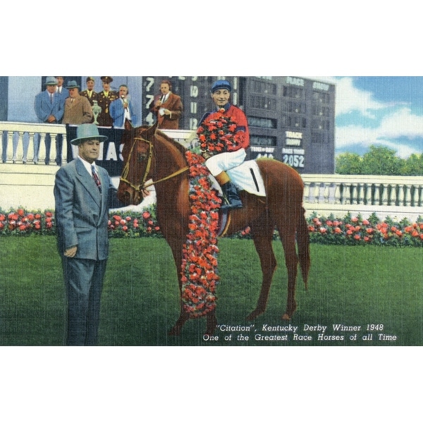 citation film equitation