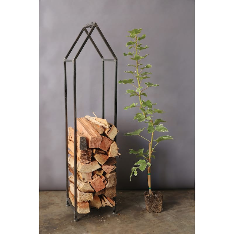 Metal House Shaped Fire Wood Holder with Handle