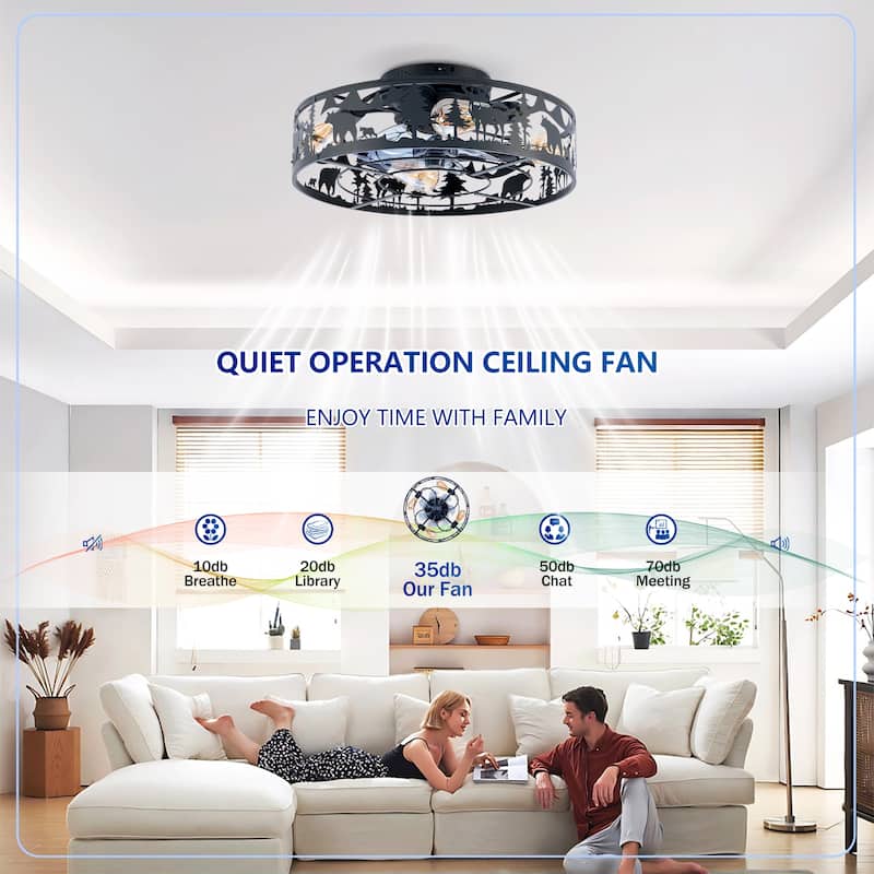 20Inch Farmhouse Ceiling Fans with Remote Control,6 Speed Reversible Flush Mount Low Profile Rustic Ceiling Fan - N/A