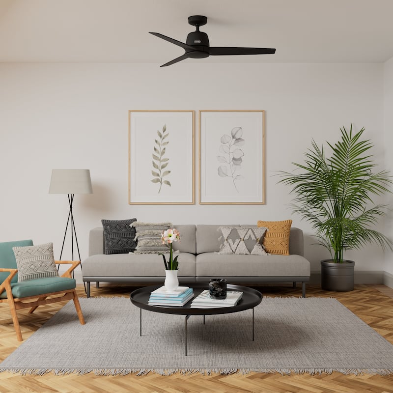 Hunter + Jasmine Roth 52" Malden Ceiling Fan and Handheld Remote - Contemporary, Modern - Designer!