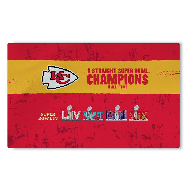NFL Super Bowl Champs Washable Rug