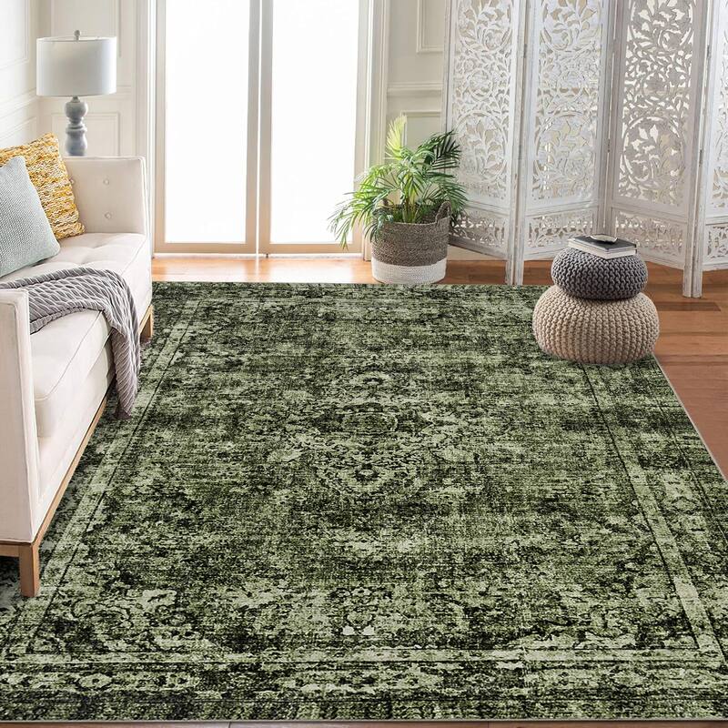 Area Rugs for Living Room Carpets Boho Washable Large Rugs for Bedroom