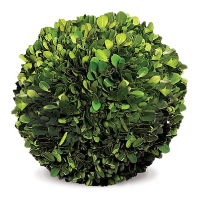 Boxwood Ball 8" - Green