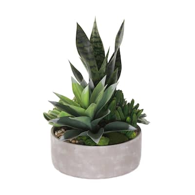Artificial Botanical Succulent Variety in a Round pot - Green