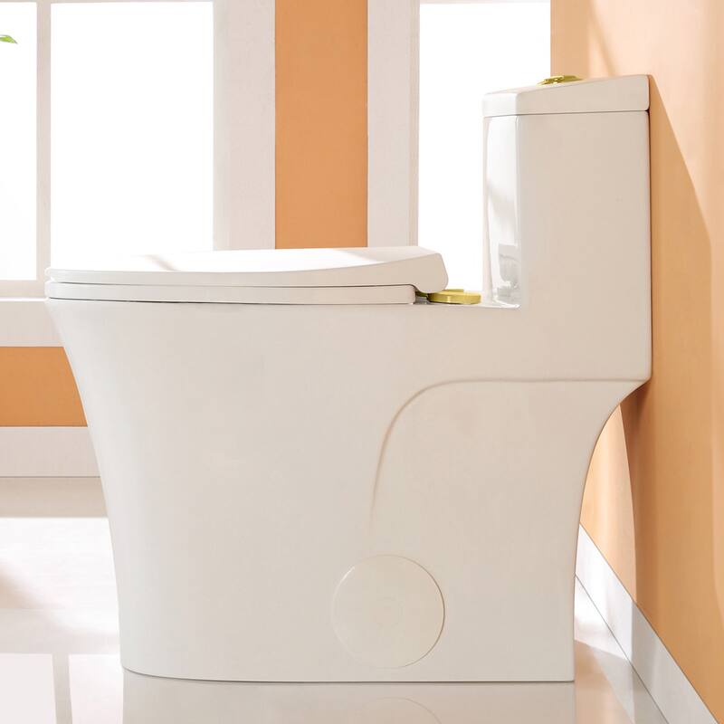 HOROW 1 Piece Dual Flush Elongated Toilet White 0.8 1.28 GPF Seat Included Brushed Gold Button - N/A