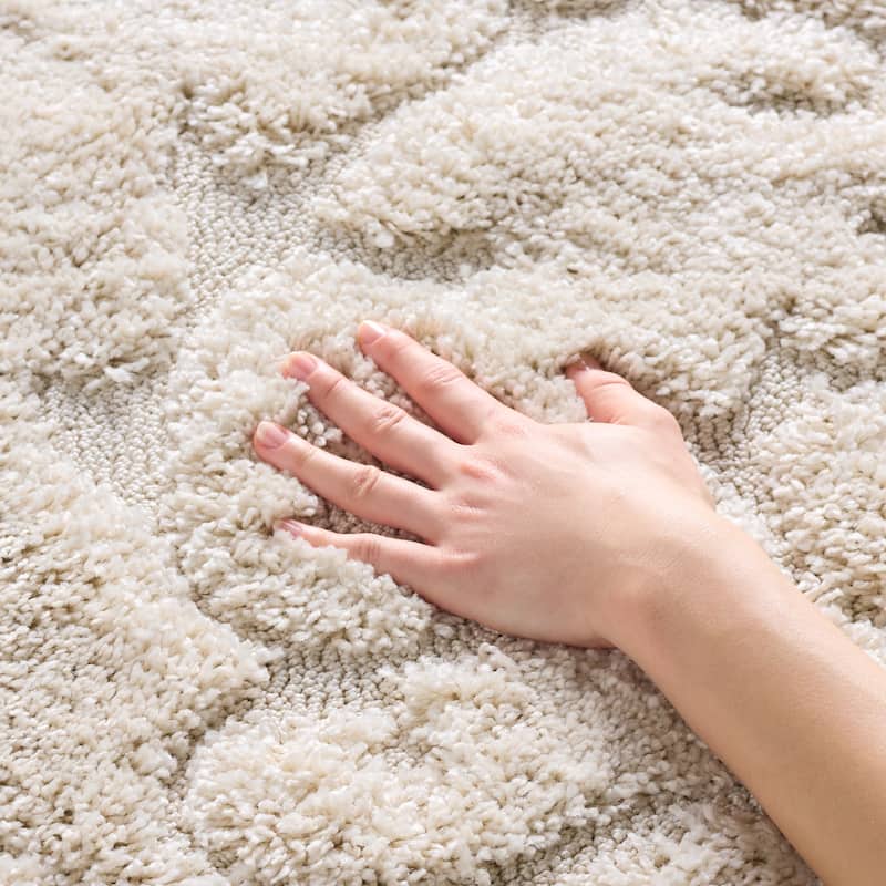 SAFAVIEH Florida Shag Tjabbe Scroll Area 1.2-inch Thick Rug