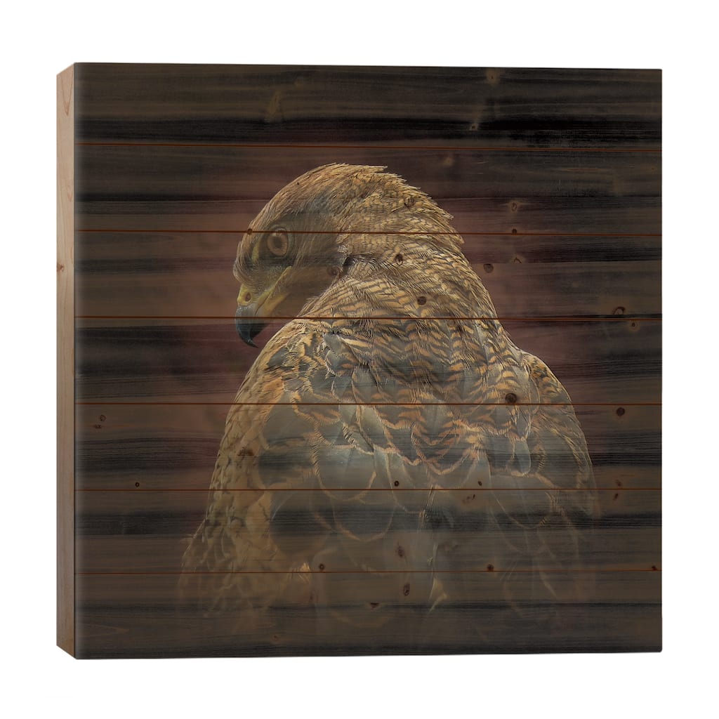 Somebody Watch Me (Savanna Hawk) Print On Wood by Ferdinando Valverde - Multi-Color