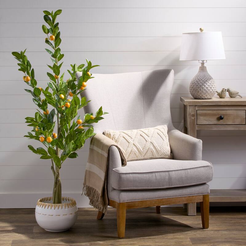 5' Potted Mandarin Orange Tree