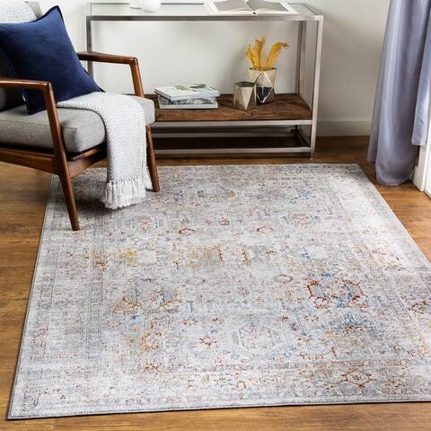 Mande Distressed Traditional Area Rug